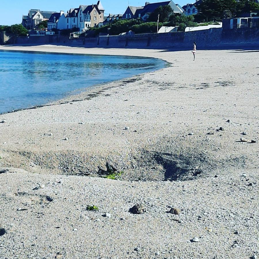 Le 3 Appartement Vue Mer Avec Jardin 100M De La Plage Et De La Thalasso Concarneau Exterior photo