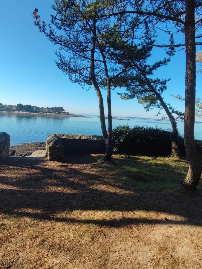 Le 3 Appartement Vue Mer Avec Jardin 100M De La Plage Et De La Thalasso Concarneau Exterior photo